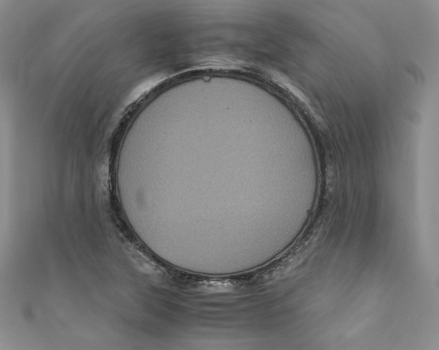 X0000111011315200907060947