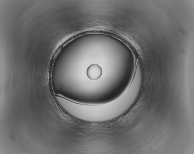 X0000111011316200907060947