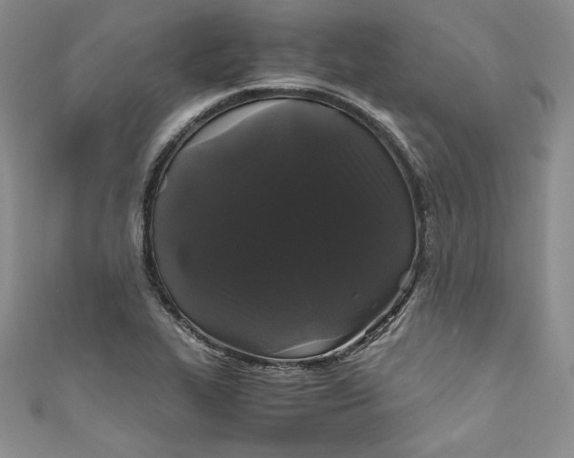 X0000111011319200907060947