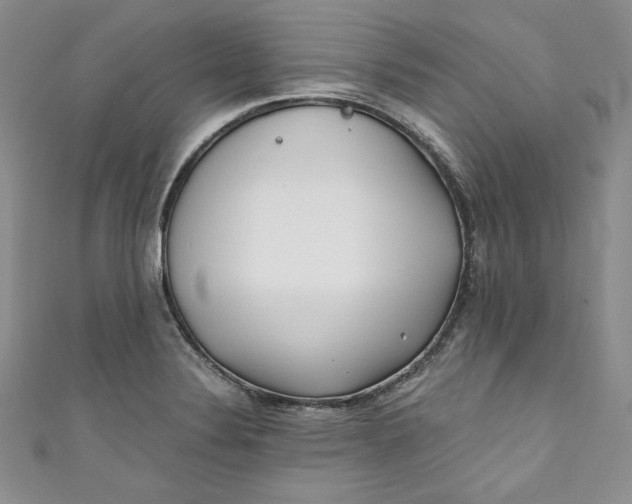 X0000111011324200907060947