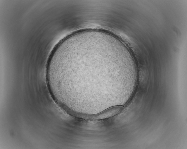 X0000111011326200907060947