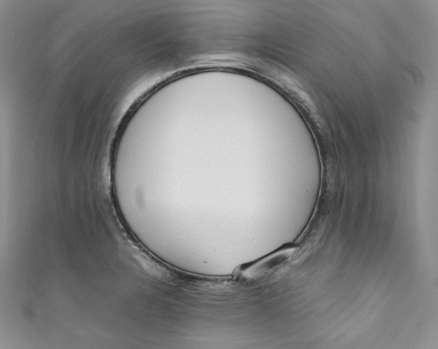 X0000111011328200907060947