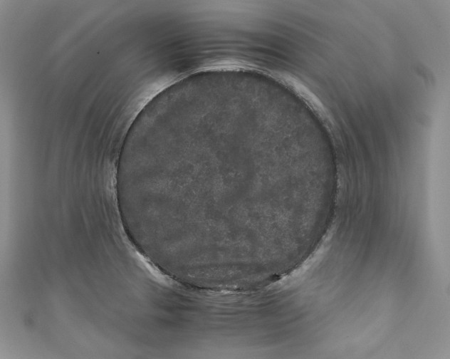 X0000111011329200907060947