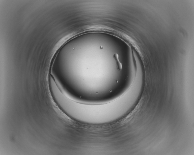 X0000111011330200907060947