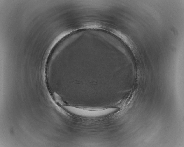 X0000111011331200907060947