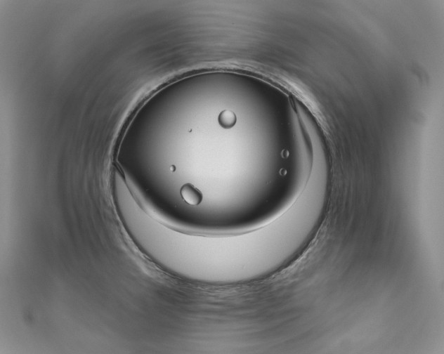 X0000111011332200907060947