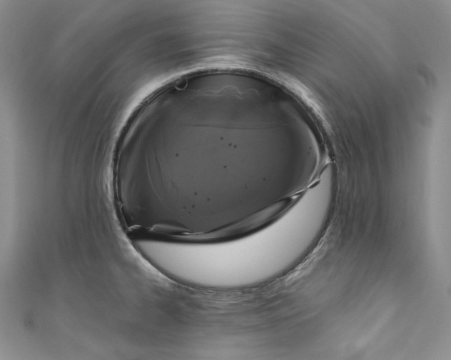 X0000111011334200907060947