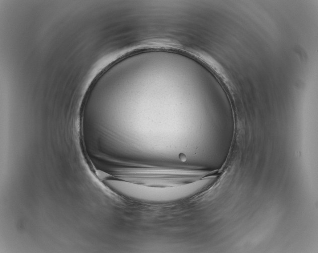 X0000111011335200907060947