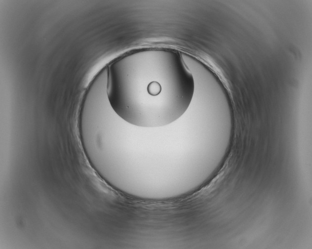 X0000111011336200907060947