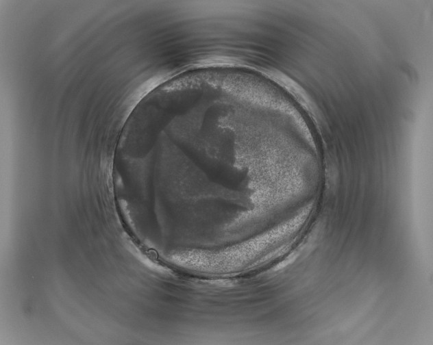 X0000111011337200907060948