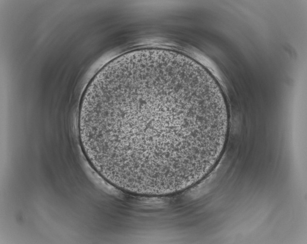 X0000111011338200907060948