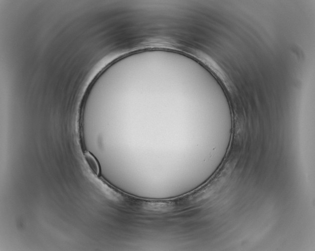 X0000111011339200907060948