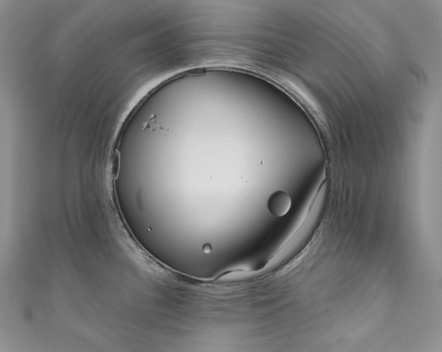 X0000111011340200907060948