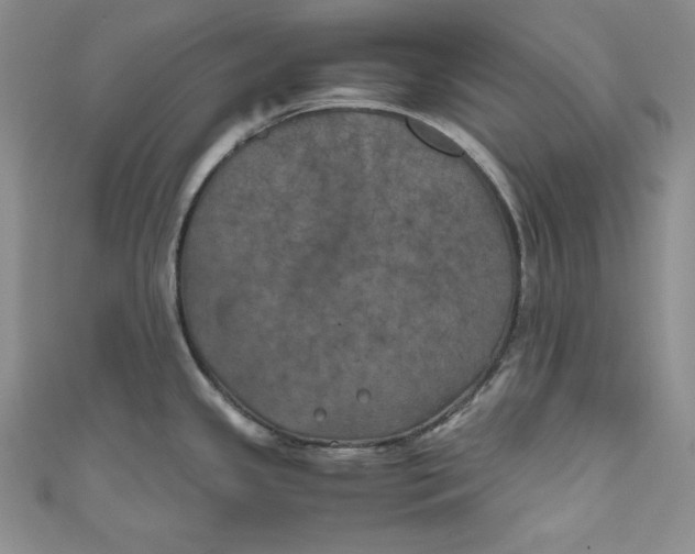 X0000111011341200907060948