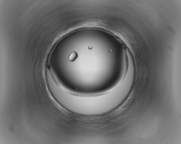 X0000111011342200907060948