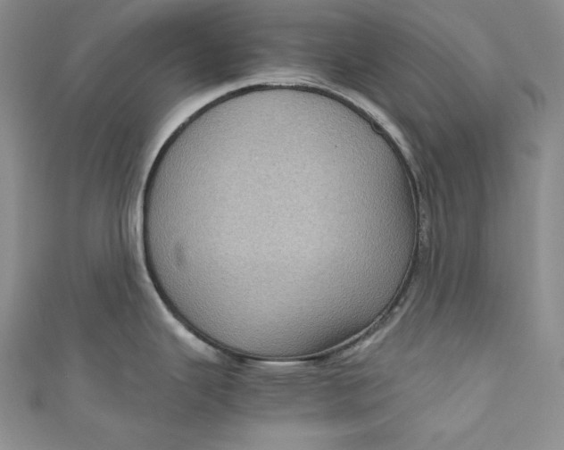 X0000111011343200907060948