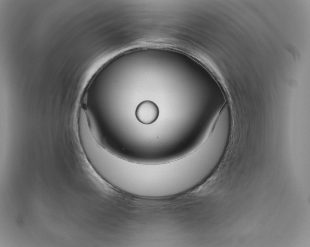 X0000111011344200907060948