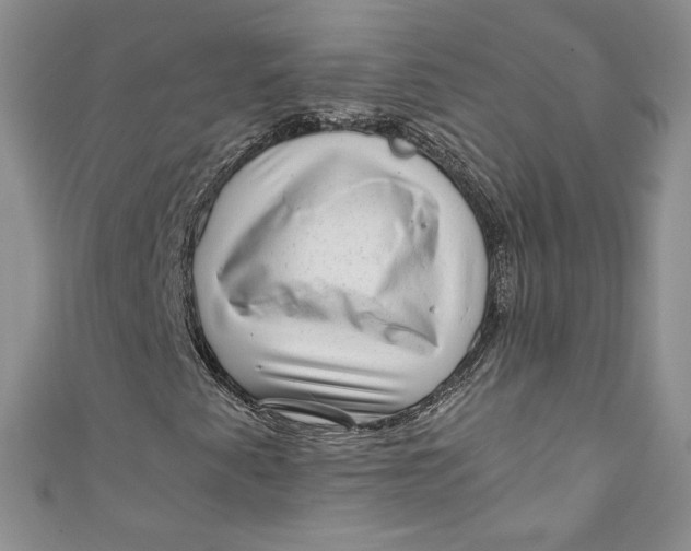 X0000111011345200907060947