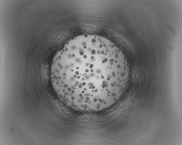 X0000111011346200907060947
