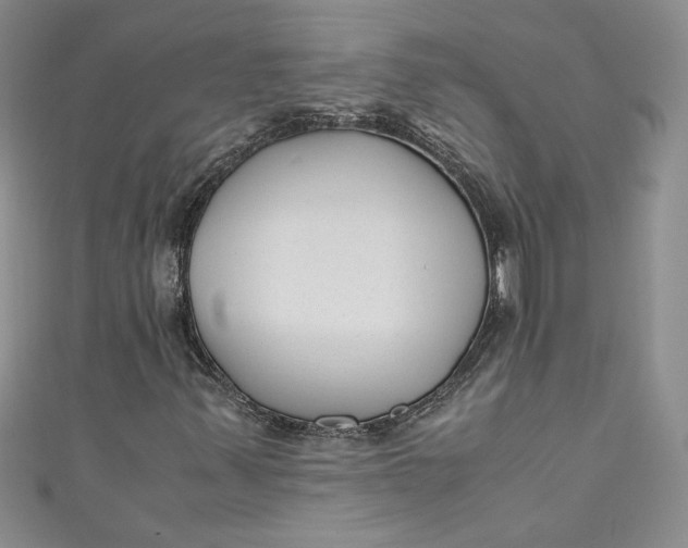 X0000111011347200907060947