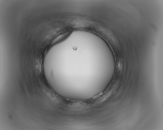 X0000111011348200907060947