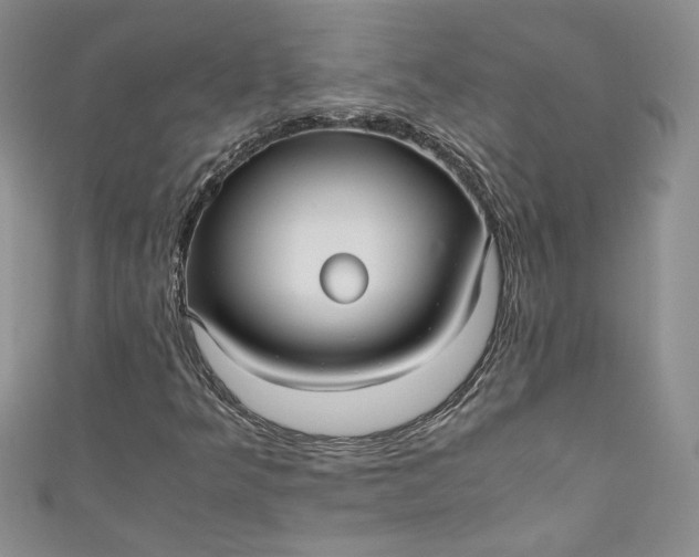 X0000111011349200907060947