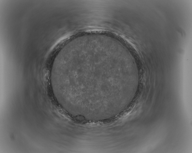 X0000111011351200907060947