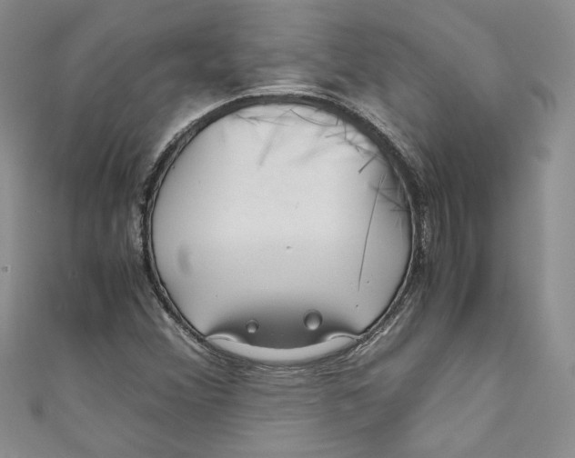 X0000111011356200907060947