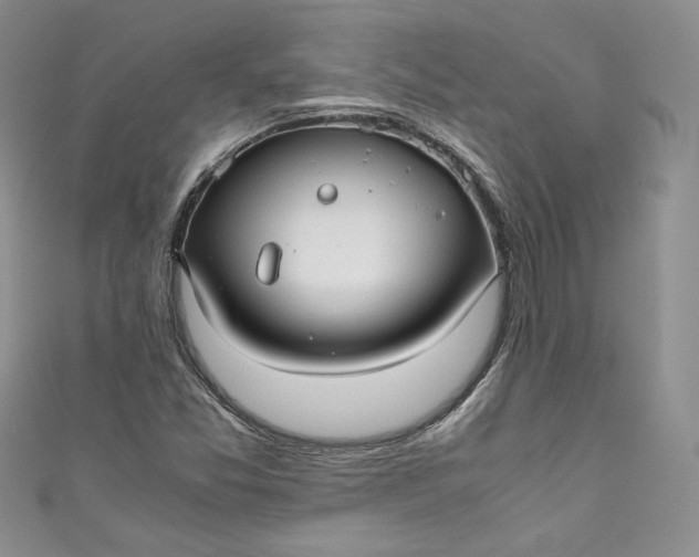 X0000111011357200907060947