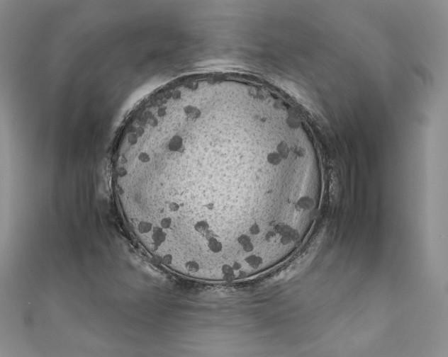 X0000111011358200907060947