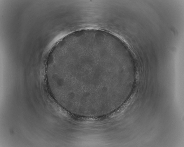 X0000111011359200907060947