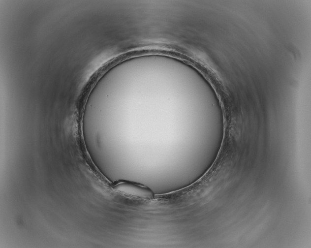 X0000111011360200907060947