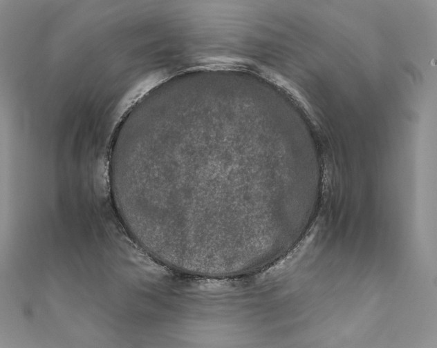 X0000111011362200907060947