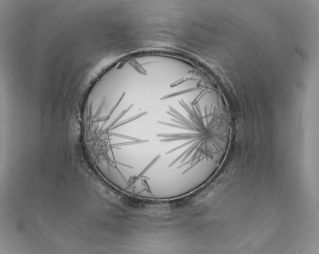 X0000111011363200907060947