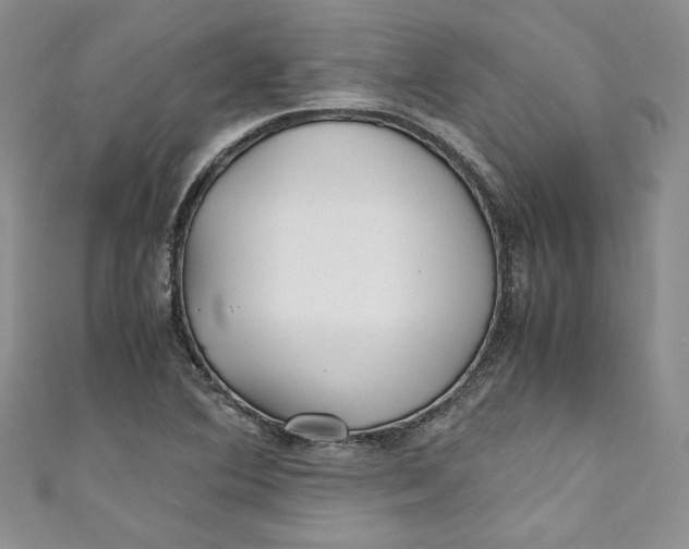 X0000111011364200907060947