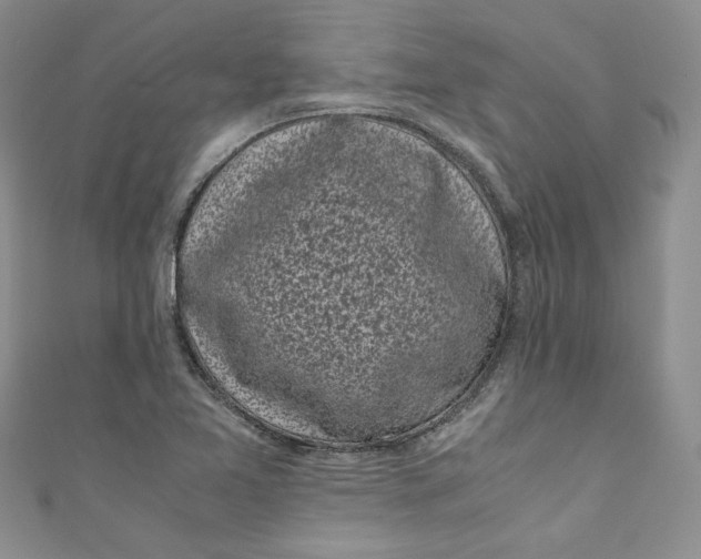 X0000111011365200907060947