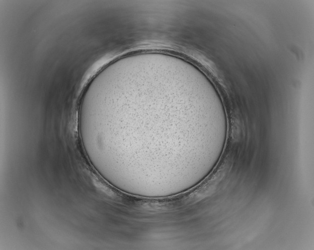 X0000111011366200907060947