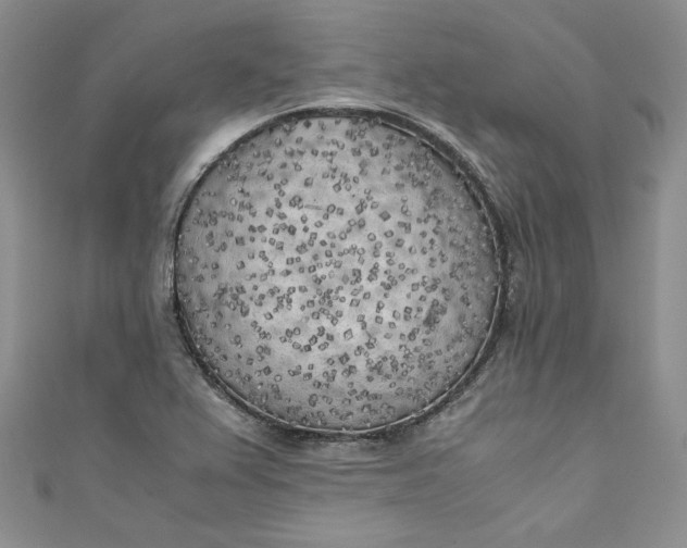 X0000111011367200907060947