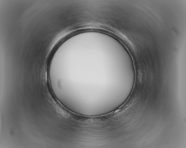 X0000111011368200907060947