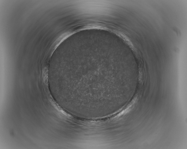X0000111011369200907060947