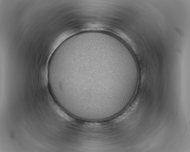 X0000111011370200907060947