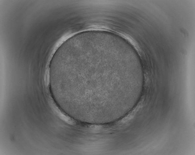 X0000111011371200907060947