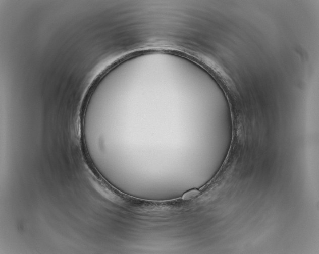 X0000111011372200907060947