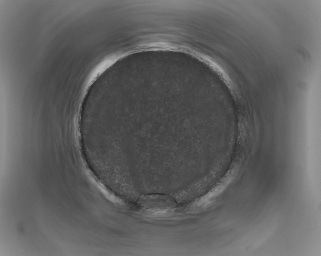 X0000111011373200907060947
