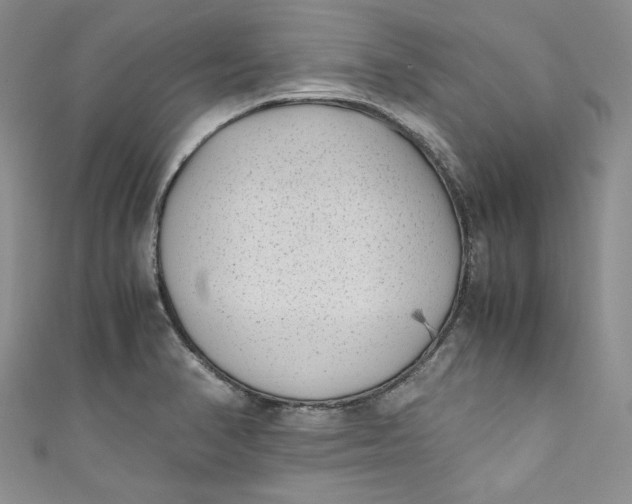 X0000111011374200907060947