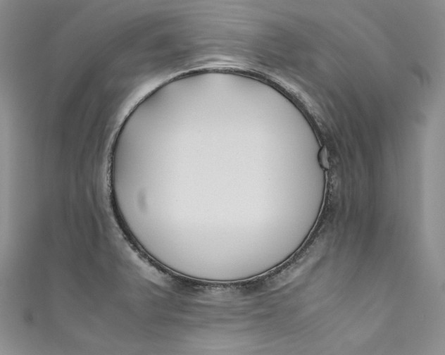 X0000111011375200907060947