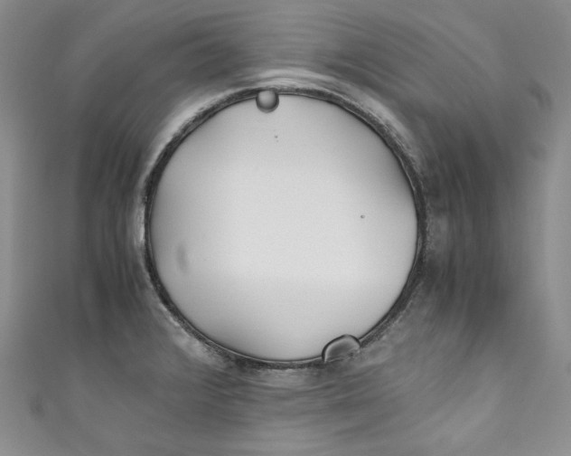 X0000111011376200907060947