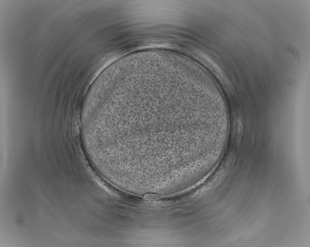 X0000111011377200907060947