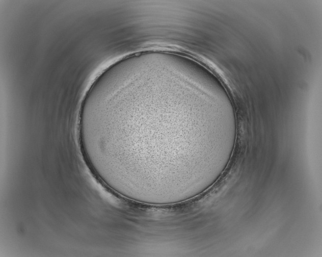 X0000111011379200907060947