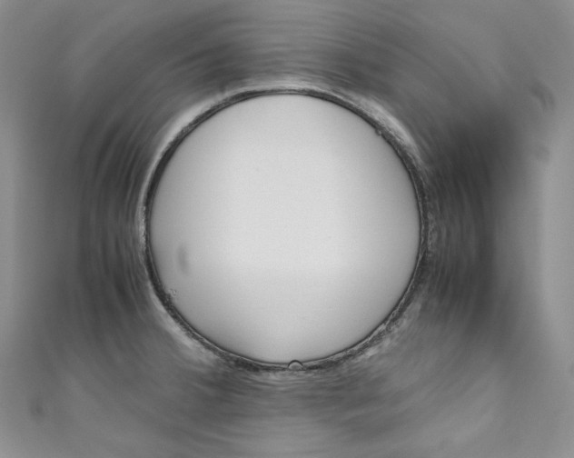 X0000111011380200907060947